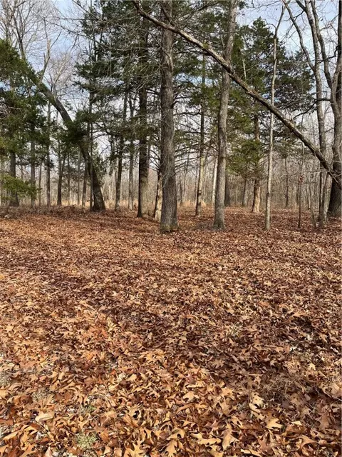 14672 Fruitwood Rd, Gravette, AR 72739