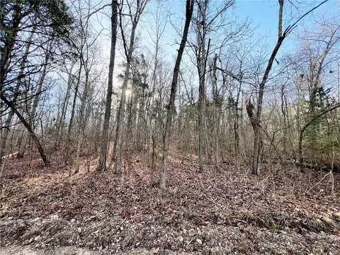 019-02659 000 Downes Rd, Lead Hill, AR 72644 photo 2
