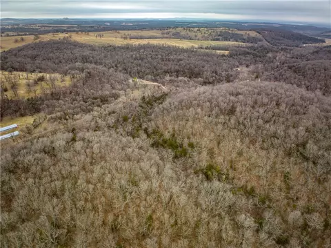 019-02659 000 Downes Rd, Lead Hill, AR 72644 photo 9