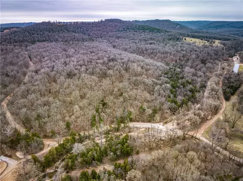 019-02659 000 Downes Rd, Lead Hill, AR 72644 photo 15