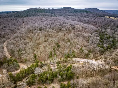 019-02659 000 Downes Rd, Lead Hill, AR 72644 photo 14