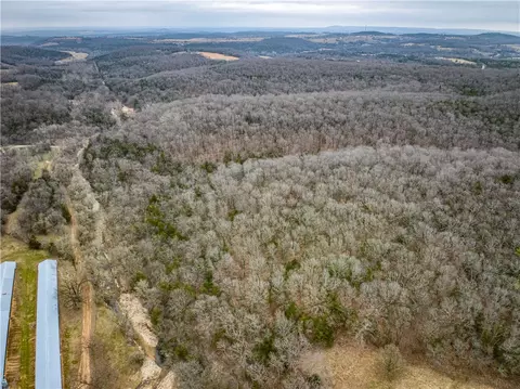 019-02659 000 Downes Rd, Lead Hill, AR 72644 photo 8