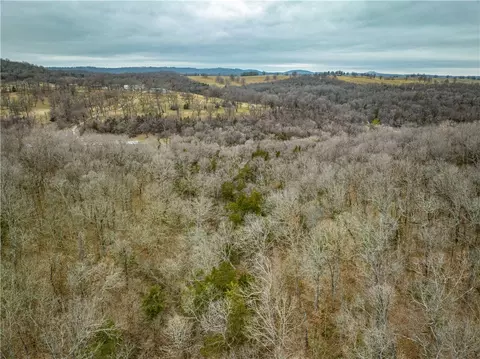 019-02659 000 Downes Rd, Lead Hill, AR 72644 photo 10