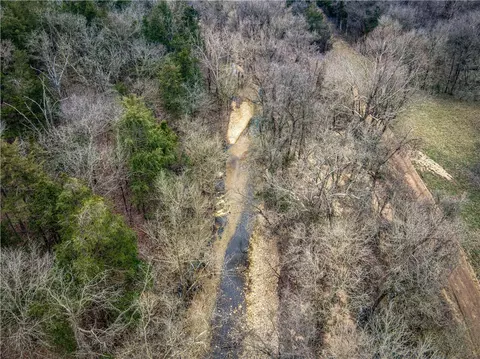 019-02659 000 Downes Rd, Lead Hill, AR 72644 photo 16