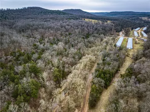 019-02659 000 Downes Rd, Lead Hill, AR 72644 photo 5