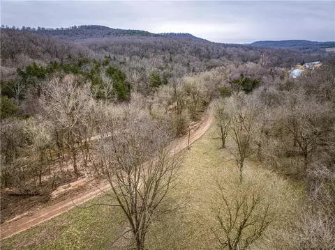019-02659 000 Downes Rd, Lead Hill, AR 72644 photo 18