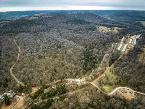 019-02659 000 Downes Rd, Lead Hill, AR 72644 photo 3