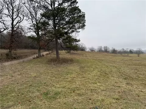 Tract D-1 Nicewarner Road, Lincoln, AR 72744