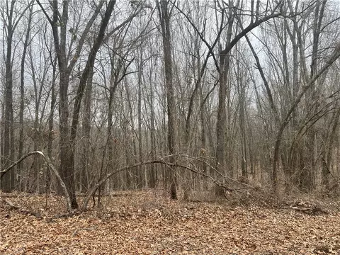 Jackson Ridge, Omaha, AR 72662