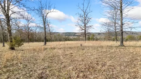 7301 E Harbor Dr, Lead Hill, AR 72644 photo 17