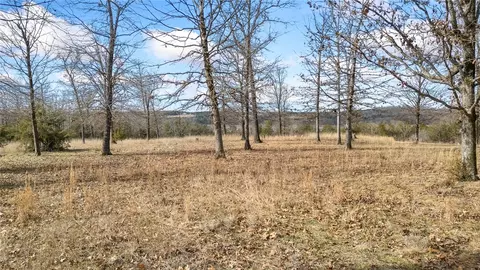 7301 E Harbor Dr, Lead Hill, AR 72644 photo 20