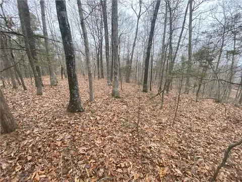 9787 Ar 327 Hwy, Deer, AR 72628 photo 11