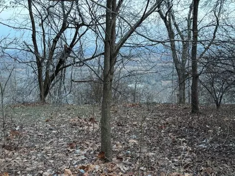 Hwy 43, Harrison, AR 72601 photo 3