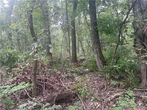 Aster Drive, Rogers, AR 72756 photo 3