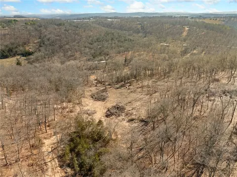 2287 Crow Spring Loop, Harrison, AR 72601 photo 11