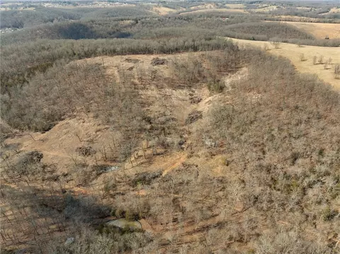 2287 Crow Spring Loop, Harrison, AR 72601 photo 3