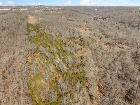 2287 Crow Spring Loop, Harrison, AR 72601 photo 14