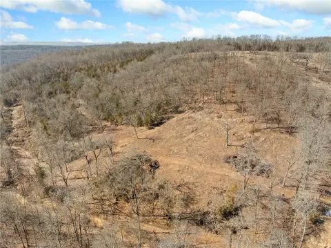 2287 Crow Spring Loop, Harrison, AR 72601 photo 19