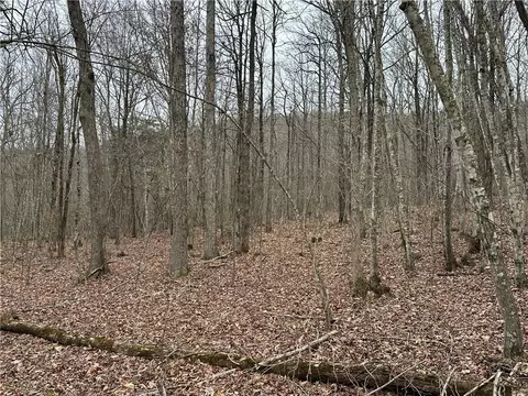 tbd Madison Cr 5488, Witter, AR 72776 photo 2