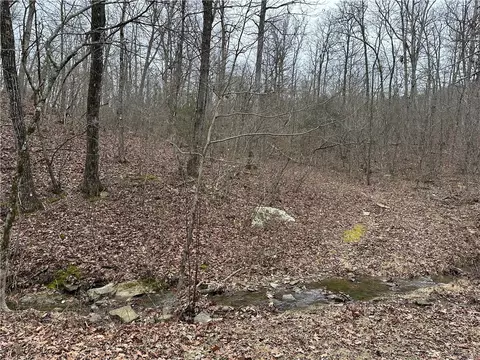 tbd Madison Cr 5488, Witter, AR 72776 photo 7