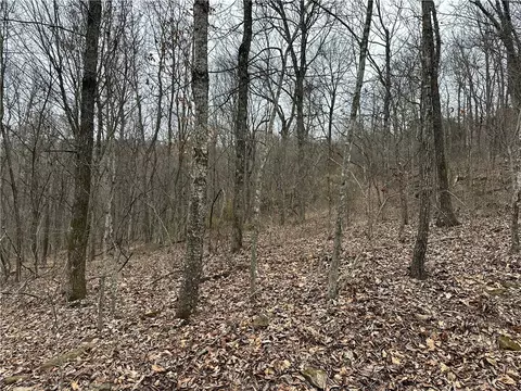 tbd Madison Cr 5488, Witter, AR 72776 photo 11