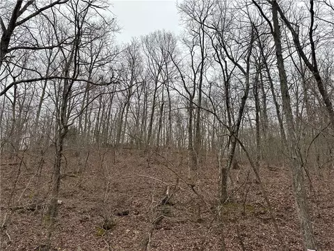 tbd Madison Cr 5488, Witter, AR 72776 photo 4