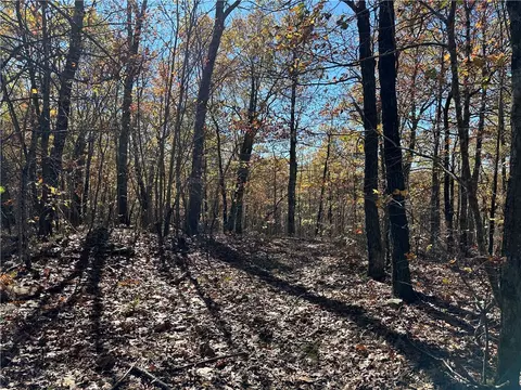 50 Acres Madison 4275, Combs, AR 72721 photo 4