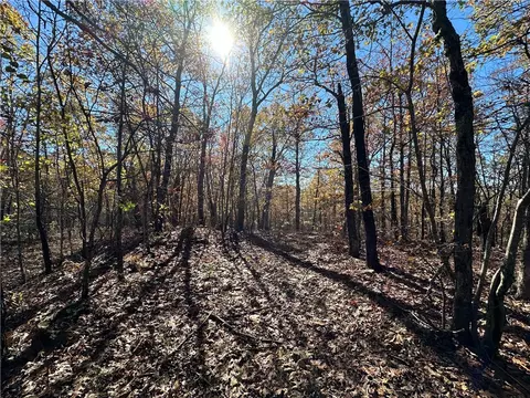 50 Acres Madison 4275, Combs, AR 72721 photo 5