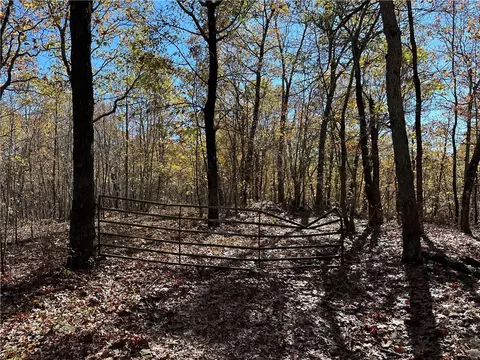 50 Acres Madison 4275, Combs, AR 72721 photo 3