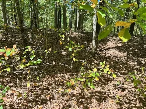 Knebworth Drive, Bella Vista, AR 72714
