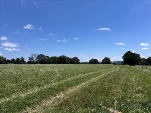 Herb Terry Road, Harrison, AR 72601 photo 5