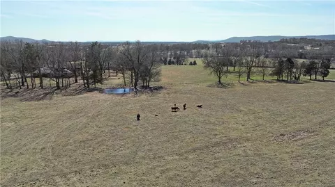 Herb Terry Road, Harrison, AR 72601 photo 17