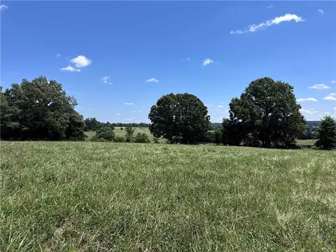 Herb Terry Road, Harrison, AR 72601 photo 6