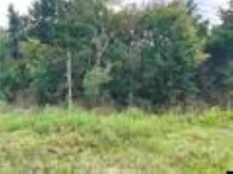 6 Th St, Flippin, AR 72634