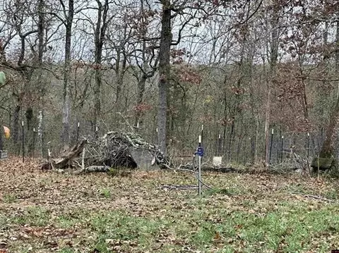 23 Jayda Ln, Clarkridge, AR 72623