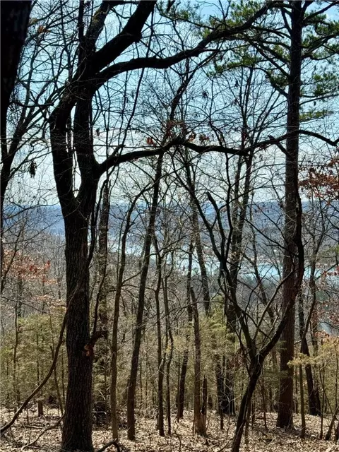 lot64 Rocky Ridge Pl, Garfield, AR 72732