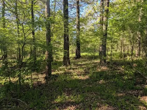 409 Stone Mountain Loop, Alma, AR 72921 photo 43