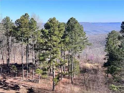 View/Area - 462 Nc 2320, Jasper, AR 72641 photo 6 of 6