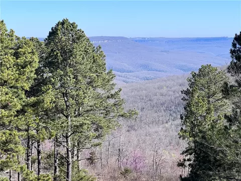 View/Area - 462 Nc 2320, Jasper, AR 72641 photo 4 of 6