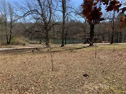 View/Area - 462 Nc 2320, Jasper, AR 72641 photo 5 of 6