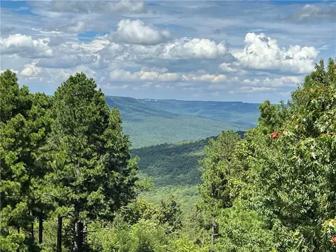 Other - 462 Nc 2320, Jasper, AR 72641 photo 1 of 13