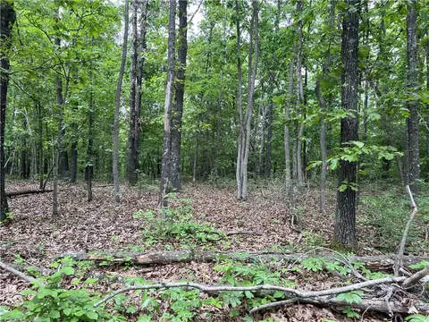 Tract W Off Of Meadow Creek Drive, Harrison, AR 72601