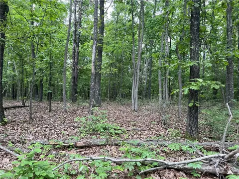 Tract W Off Of Meadow Creek Drive, Harrison, AR 72601