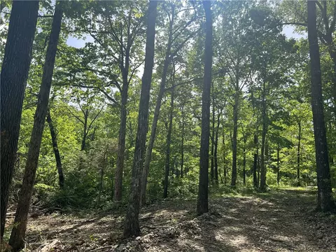 Nc 2909, Marble Falls, AR 72648 photo 13