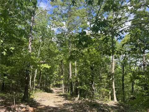 Nc 2909, Marble Falls, AR 72648 photo 5