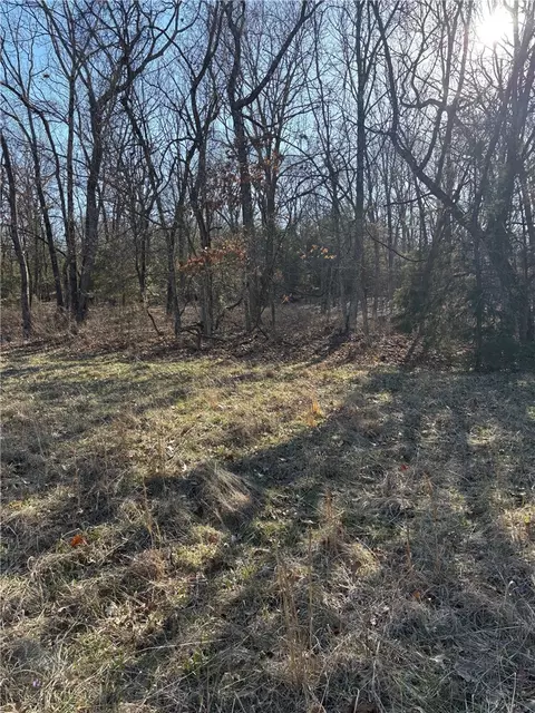 22 Ac Gann Ridge Rd, Garfield, AR 72732