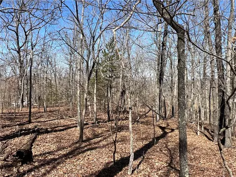 4210 Red Bluff Rd, Marshall, AR 72650 photo 9