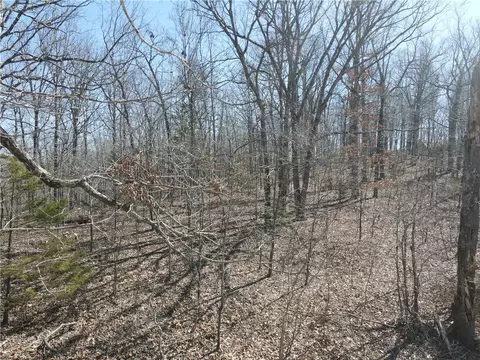 4210 Red Bluff Rd, Marshall, AR 72650 photo 16