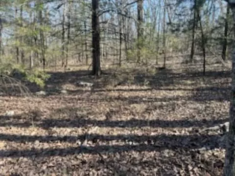 001-00170 006 Mc 6071, Flippin, AR 72634