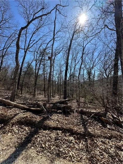 tbd Tbd, West Fork, AR 72774 photo 5